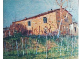 La casa della Merlaia La casa della Merlaia
